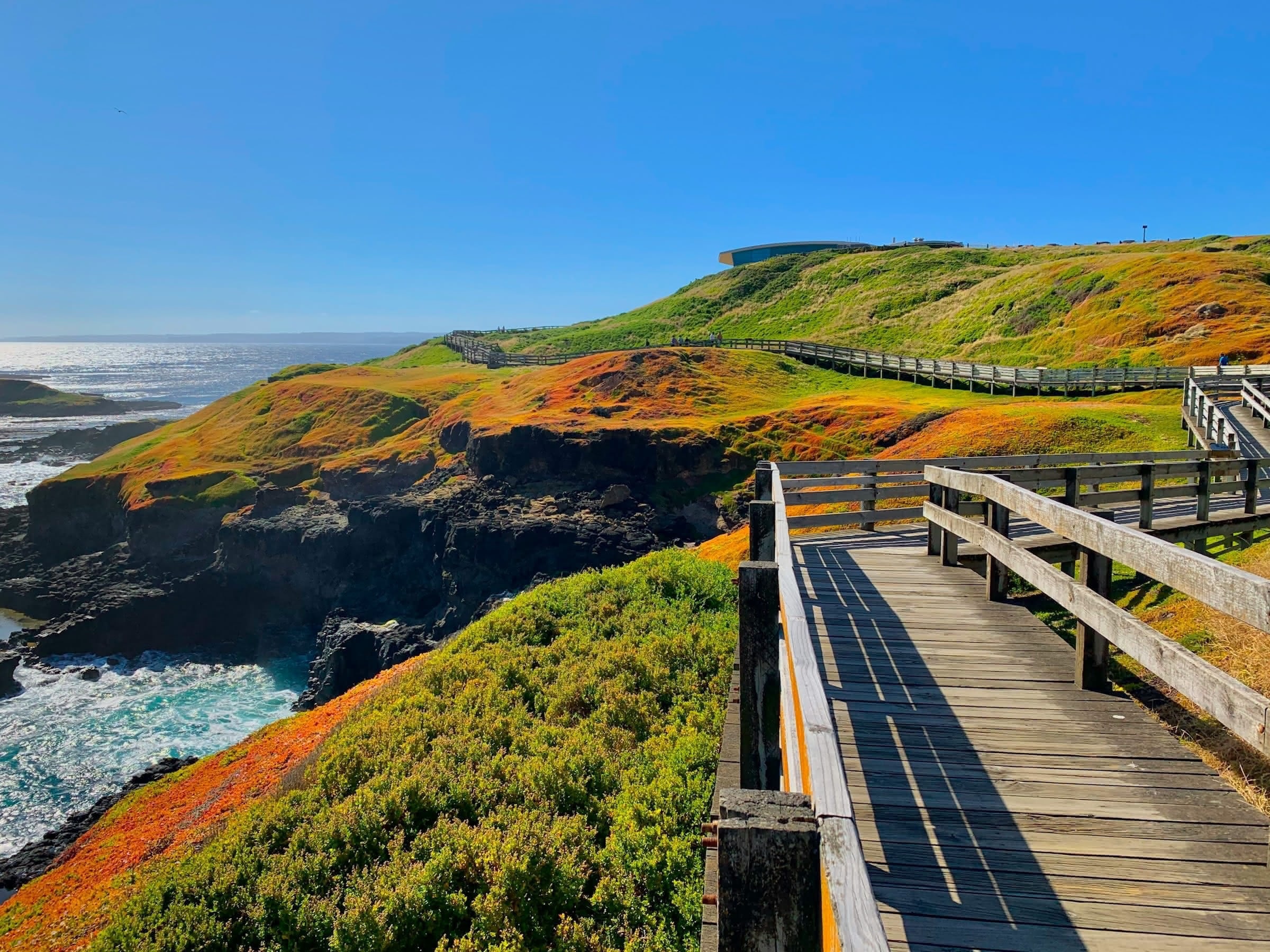 Phillip Island & Bass Coast Victoria Airbnb Management