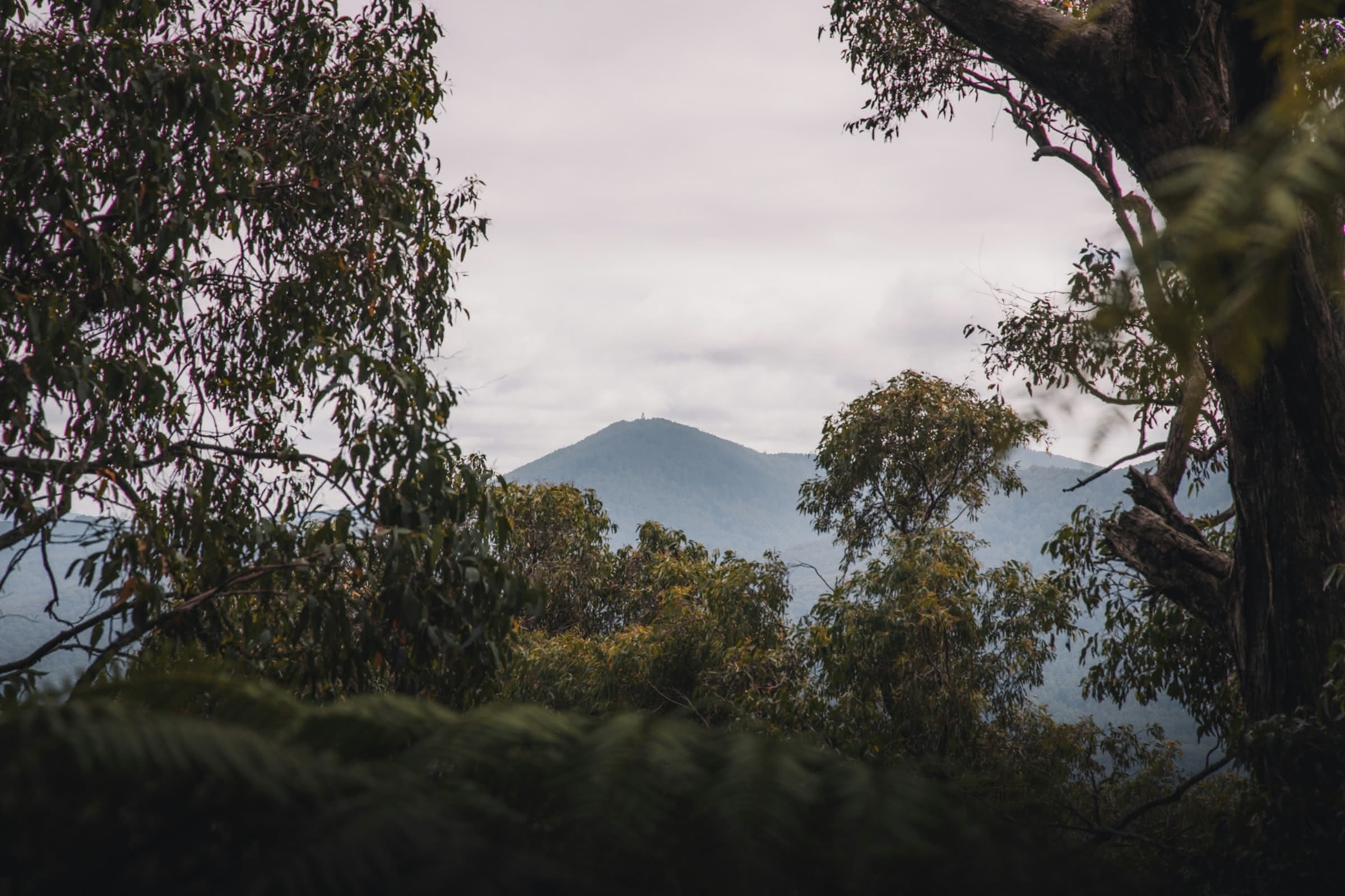 Yarra Valley Victoria Airbnb Management