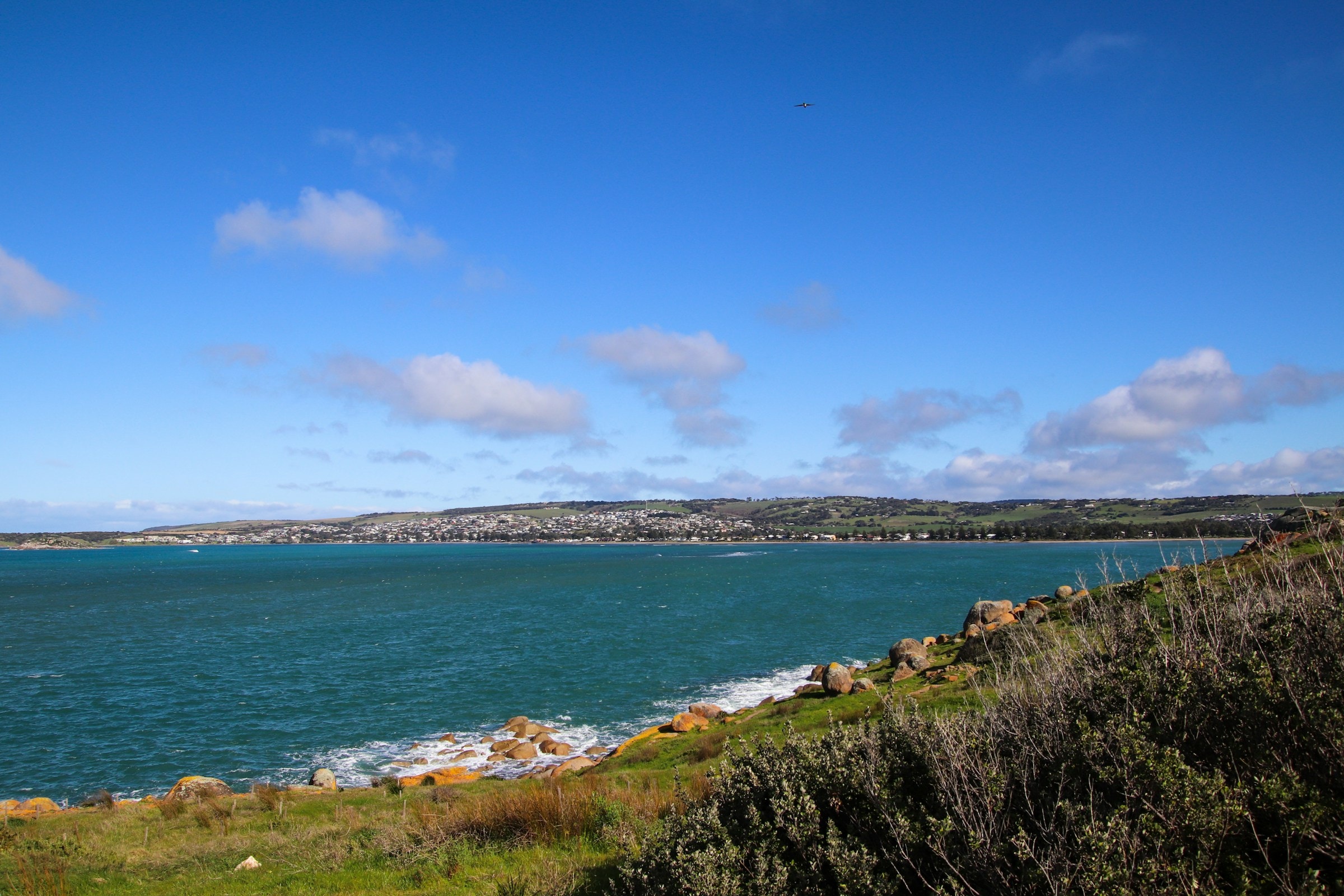 Victor Harbor coastline with Granite Island and historic horse-drawn tram